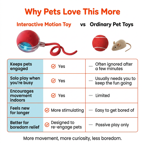 QuietPaws Interactive Pet Toy