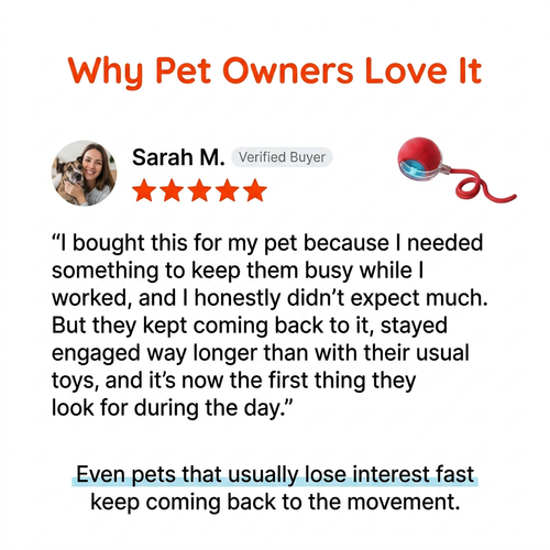 QuietPaws Interactive Pet Toy
