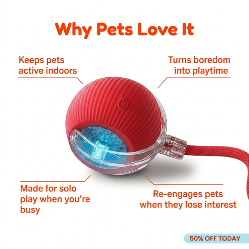 QuietPaws Interactive Pet Toy